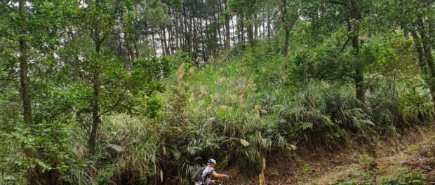 Soc Son mountain bike4