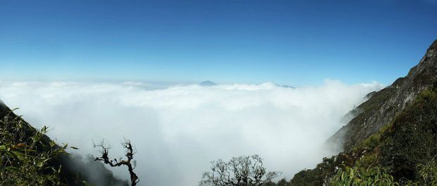 Bach Moc Luong Tu mountain 14