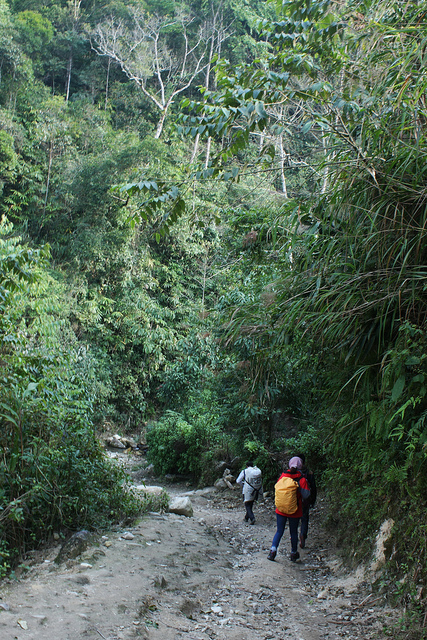 trekking and hiking
