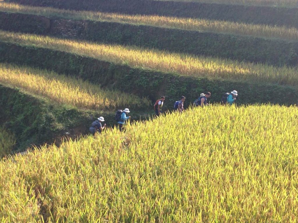 Vietnam trekking