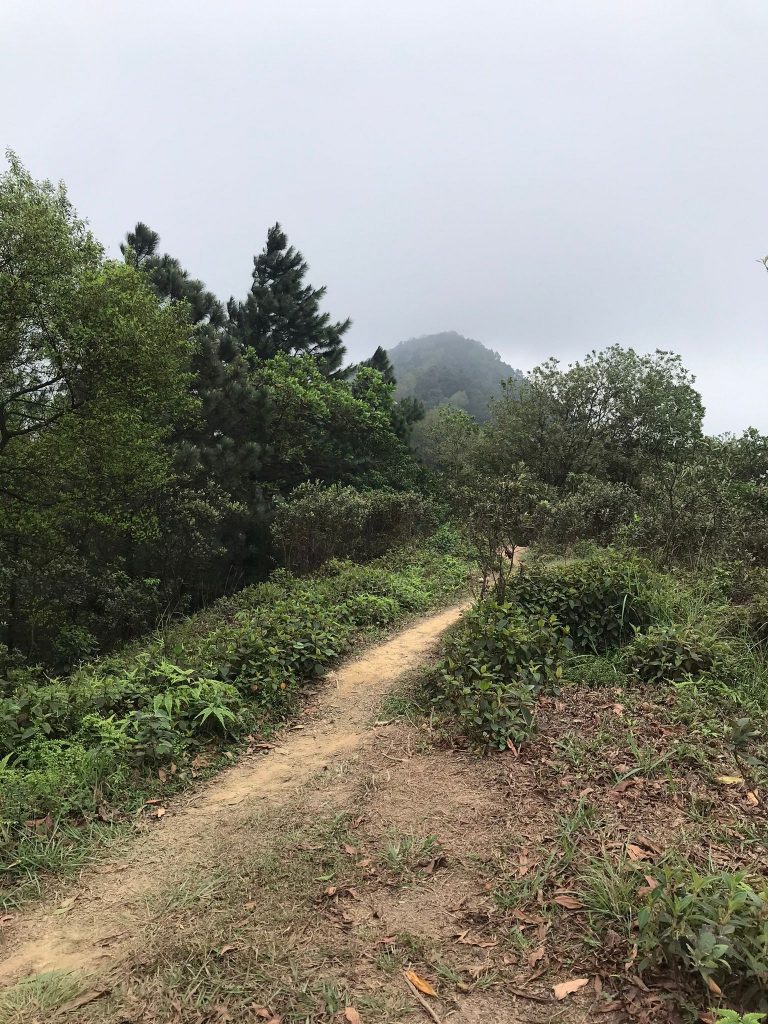 Hanoi trekking